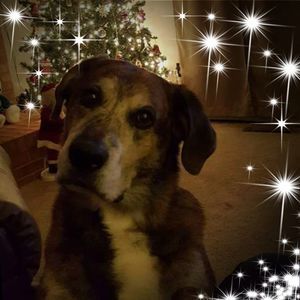 Meet your Posher, Debbie